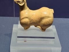 -温州博物馆