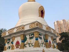 -护国法轮寺
