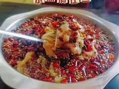 水煮活鱼-重庆歪嘴鱼庄(济南模具厂宿舍店)
