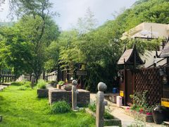 -Local泰莲庭(虹鳟鱼店)