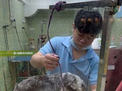 -瑞鹏·疫苗·绝育·宠物医院(金沙洲店)