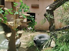 -青藏高原野生动物园