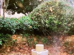 -郑州银基黄帝宫御温泉