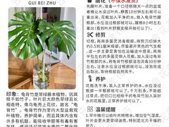 -双季花艺园艺市场(浦东店)