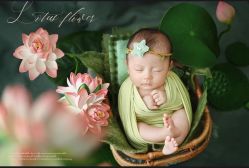 -诺米宝贝摄影工作室(铁机路店)