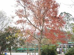 -桂林古东瀑布景区