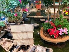 -海韵人家.海景花园经典云南菜(双廊店)