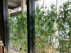 -金成潮菜博物馆(海珠湿地店)