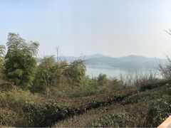 -天目湖涵田半山温泉