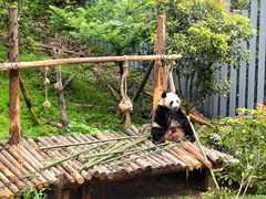 -黔灵山公园