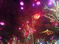 -大唐不夜城贞观广场