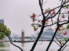 -无锡蠡湖国家湿地公园-蠡园