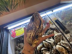 -蚝抵食·湛江生蚝(湾北路店)