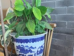 -滇越乘象云南餐厅(次渠店)