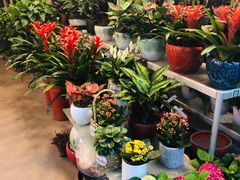 -双季花艺园艺市场(浦东店)