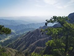 -王顺山国家森林公园