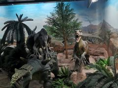 -国家自然博物馆