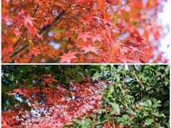 -苏州吴中太湖旅游区