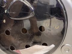 -北京观赏动物医院·24小时大型综合·猫专科·异宠专科