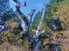 -锦屏山旅游度假区