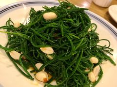 -老阿妈蒙古村·蒙古包·草原文化·歌舞表演(老君堂店)