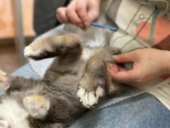 -宠物兔专门店(天丰利市场店)