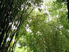 -晓港公园