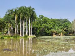 -中国科学院西双版纳热带植物园