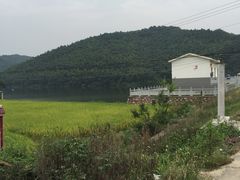 -南京维景国际大酒店(南京博物院店)