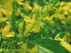 -长春公园(普阳街道)