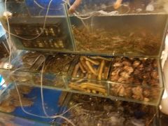 -大渔铁板烧(中山路八佰伴店)