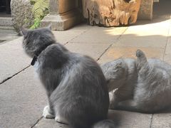 -老屋咖啡