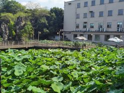 -金牛宾馆·婚寿宴预定中心