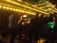 -龙津风雨桥