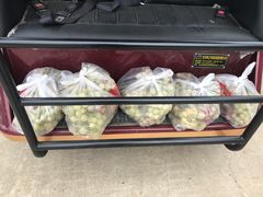 -江天生态园餐厅