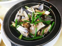 -锐记美食店·现捞海鲜(闸坡店)