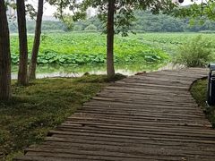 -月湖风景区