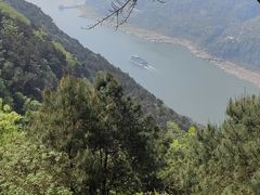 -铁山坪森林公园