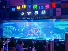-泉城欧乐堡海洋极地世界