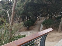 -贮水山儿童公园