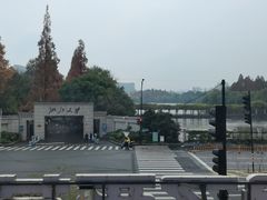 -绿雪芽白茶(浙大华家池校区凯旋路店)