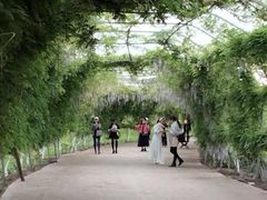 -洪湖湿地生态园