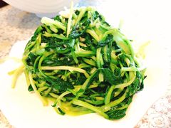 -文三里屯面馆(三里屯店)