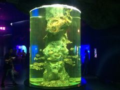 景点-福州罗源湾海洋世界旅游区