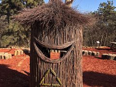 -北京西山国家森林公园