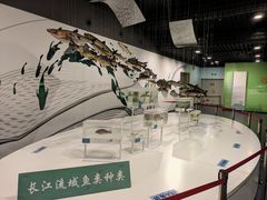 -天津自然博物馆