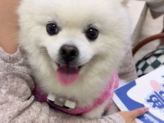 -美联众合动物医院·24h转诊中心