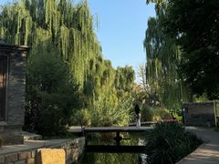-春风习习