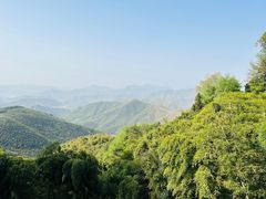 -莫干山风景区