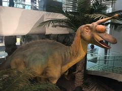 -烟台自然博物馆